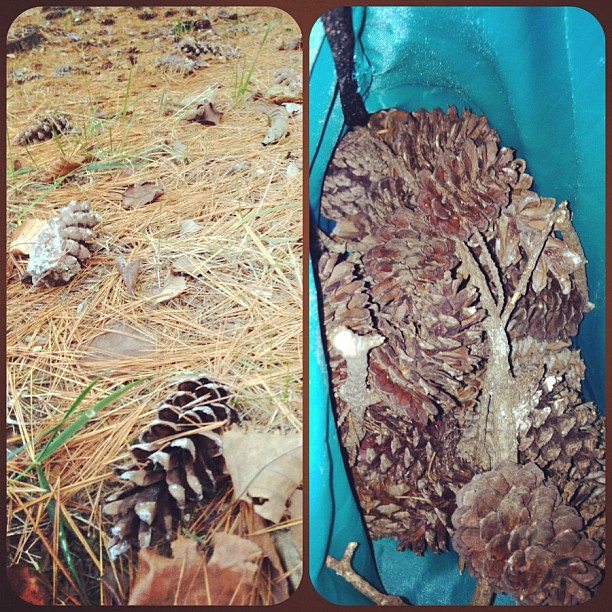 Day 18 of #novemberthankful Today I am thankful for a hubby who suggested we collect pine cones for a winter wreath I want to make!