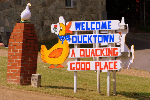 Welcome to Ducktown