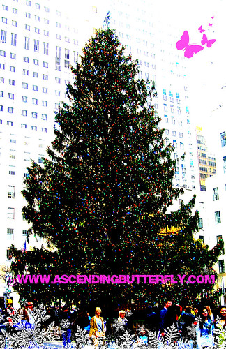 Rockefeller Center Christmas Tree 01 WATERMARKED 2012