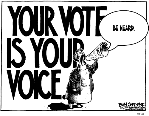 YOUR VOTE IS YOUR VOICE - BE HEARD