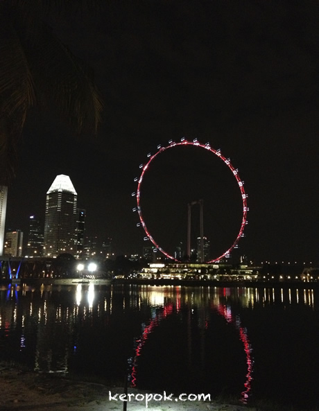 Singapore Flyer from Gardens by the Bay