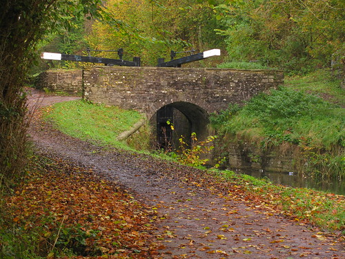 Bridge into Autumn