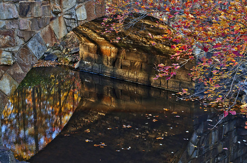 Fall under Davies Bridge by Jeka World Photography