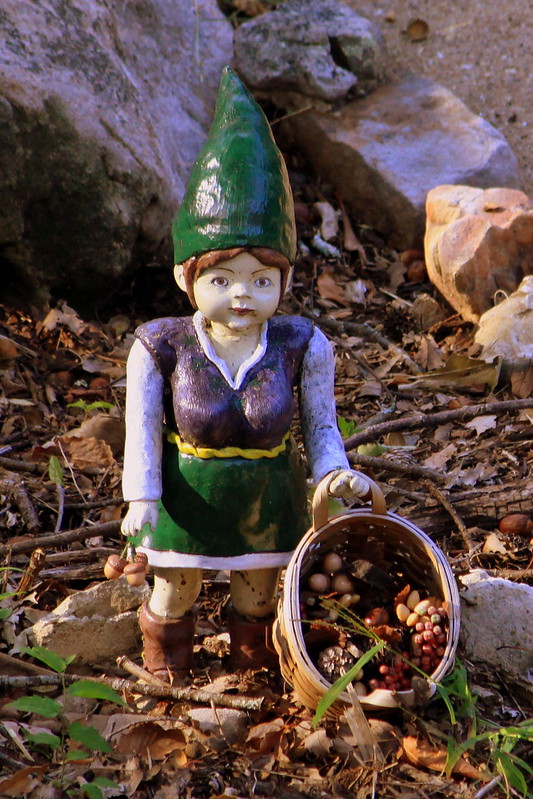 Rock City's Gnome Valley #3: Gathering nuts & berries