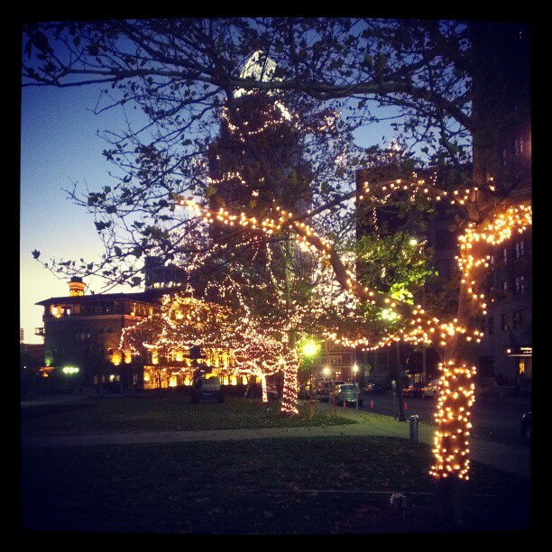 The lights are back in Lytle Park @DowntownCincy! #SoPretty