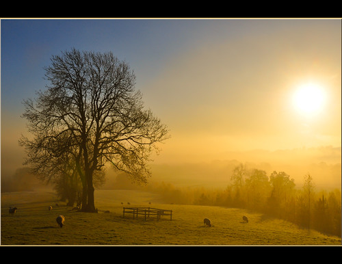 Early Morning at Bodenham by davolly59