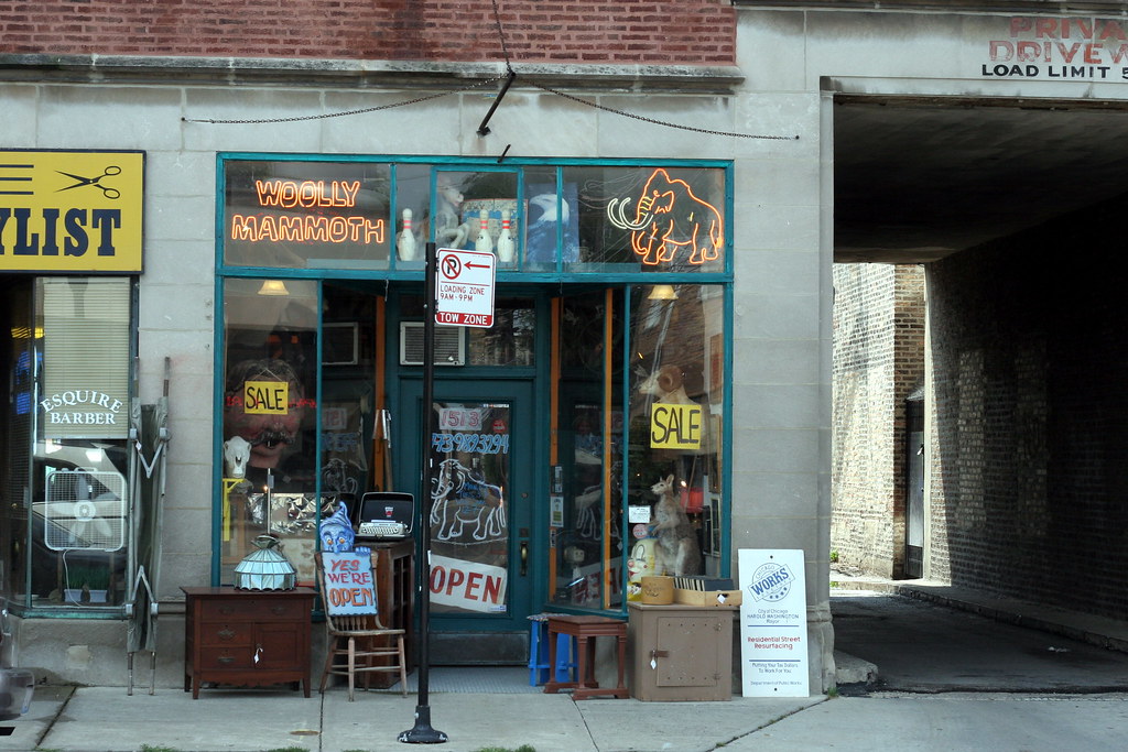 Woolly Mammoth Storefront