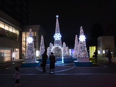2012 Daikanyama Winter