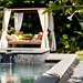 backyard-tropical-oasis-with-pool