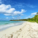 #Exotic #Caribbean #Wild #Beach - Une #plage de #Sainte_Luce - Sud #Martinique © bluedarkat