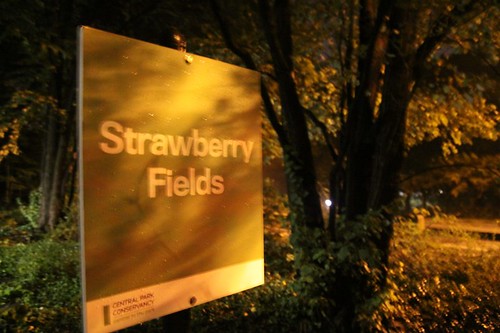 Strawberry Fields at night