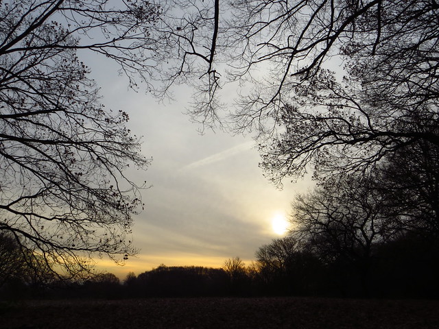 Winter Sun over Hampstead Heath