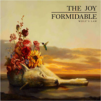 the-joy-formidable