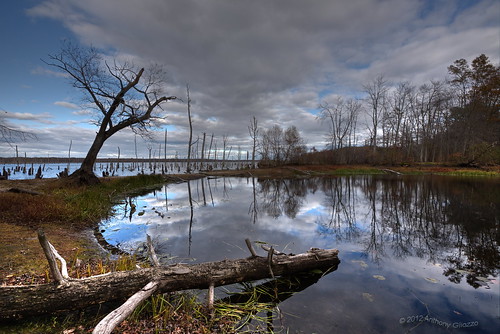 Manasquan Reservoir (Scene 1) New Jersey by Revup67