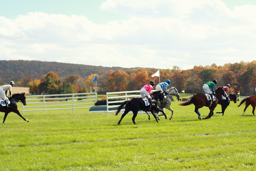 Fall Gold Cup 2012