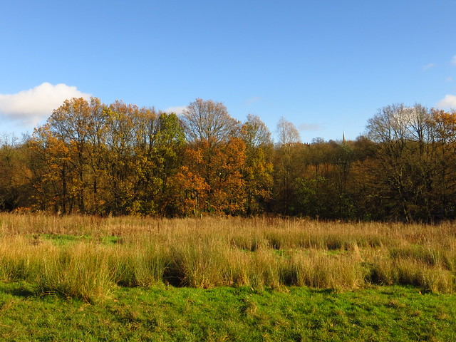 The Ladies Pond Meadow