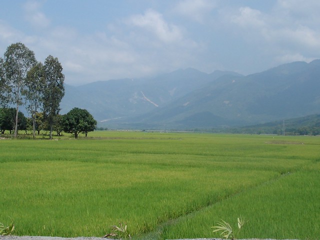 Laos-rice-fields-and-mountains-Flickr-CC-dancingqueen27