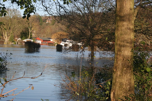 River Thames: 29/11/2012 at 14:00