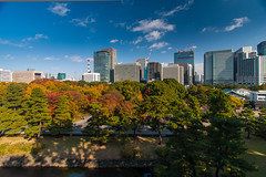 Tokyo skyline view