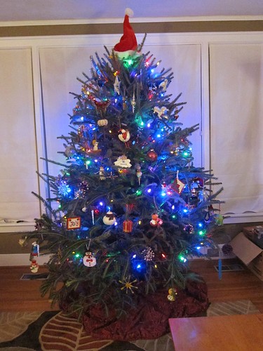 Our tree