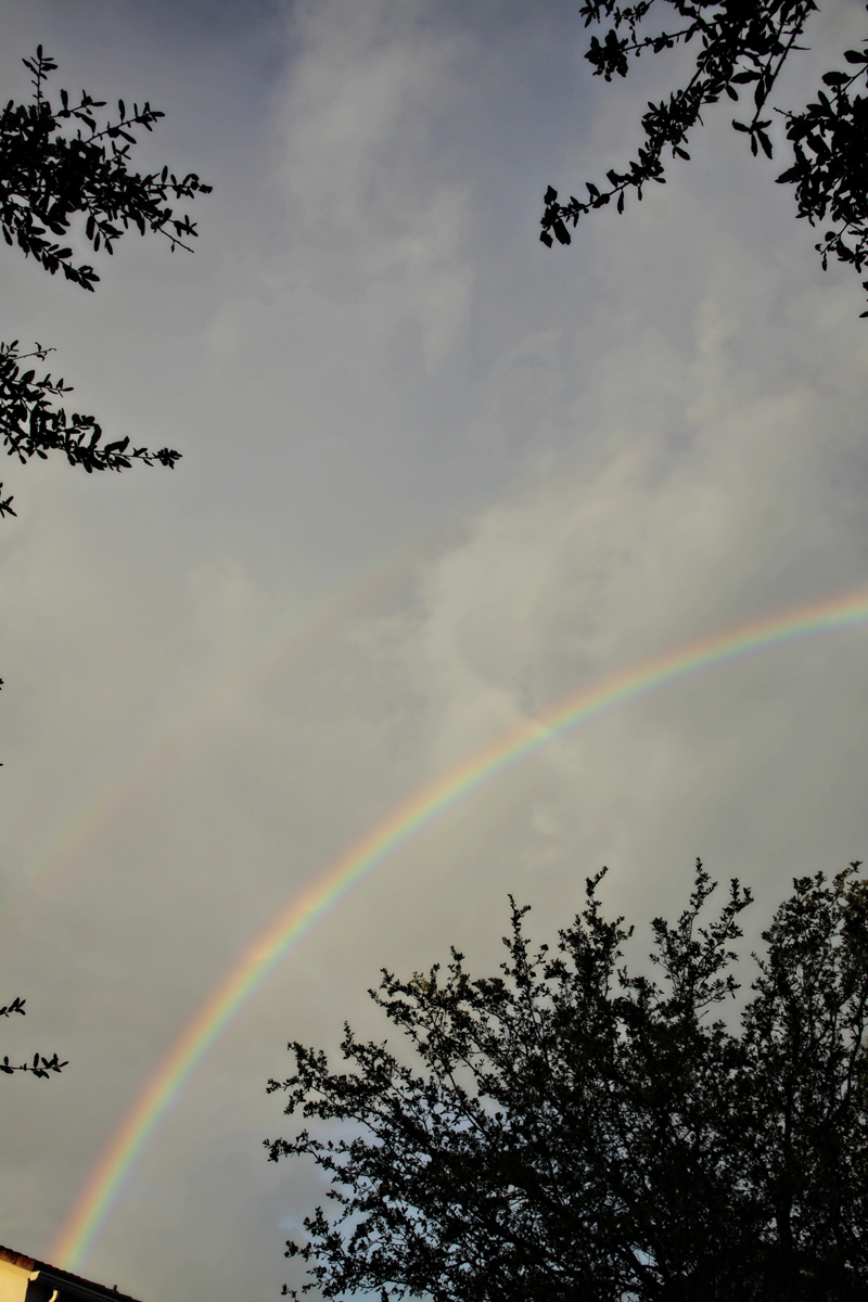 rainbow morning 3