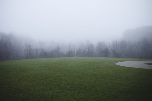 Foggy Landscapes
