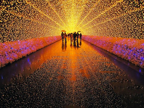 Посетители входят в фантастических мир через туннель, стены которого покрыты самой настоящей паутиной сверкающих огней