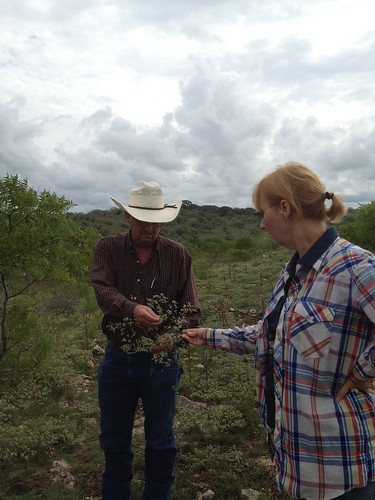 Pat Maples works with Natural Resources Conservation Service District Conservationist Mitchell Schroeder to identify new vegetation.