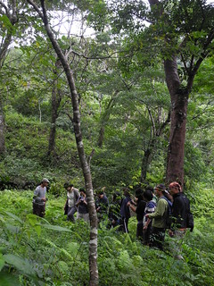 金恆鑣說：「台灣的森林在自然環境之水土保持、水文調節與碳吸存等功能上所帶來的服務與價值，遠遠超過其所生產之木材的價值。」