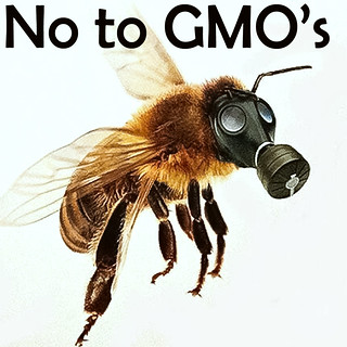 Not my image. Please look for information on GMO's.