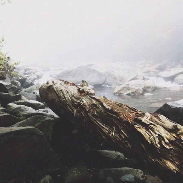 fog river