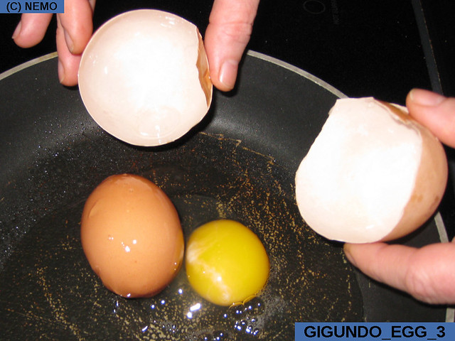 gigundo_egg_3