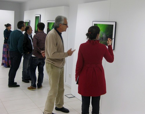 Auroras boreais ( Exposición Quercus IP - FOCO Gallery)