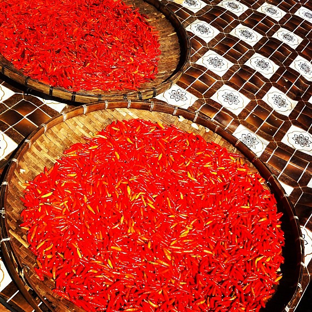 Chiles in laos