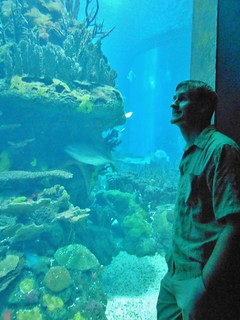 Dennis Enjoying Lisbon Aquarium