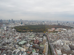 Tokyo, Nov 2012