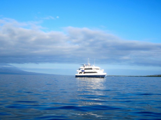 Ecoventura, luxury galapagos cruise