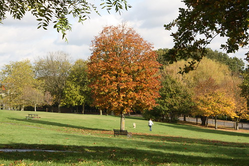 Autumnal Eaglesfield Park