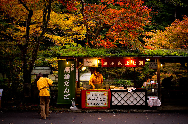 momiji '12 - autumn leaves #11 (near Jingo-ji temple, Kyoto)