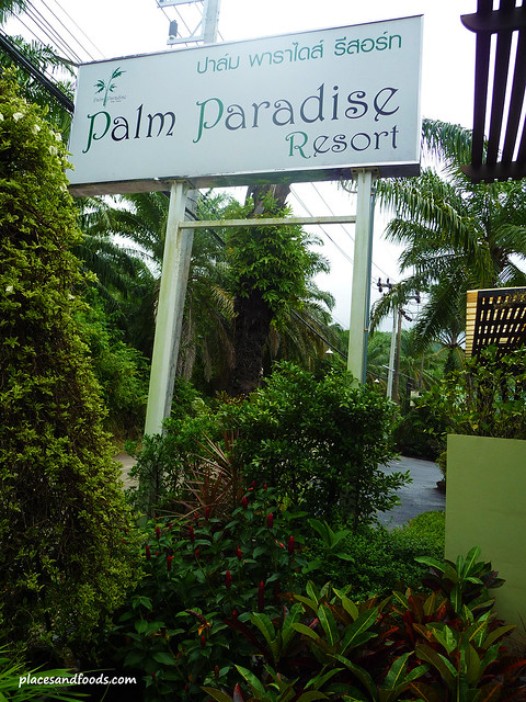 palm paradise resort krabi