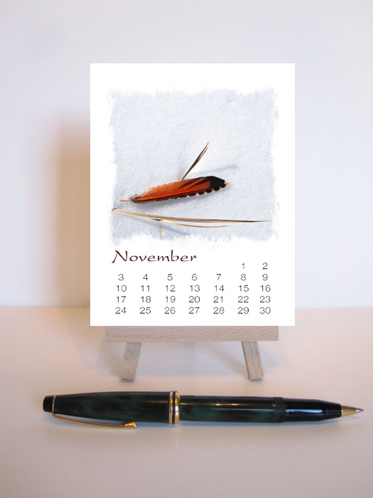 The Colorado Naturalist 2013 Desk Calendar