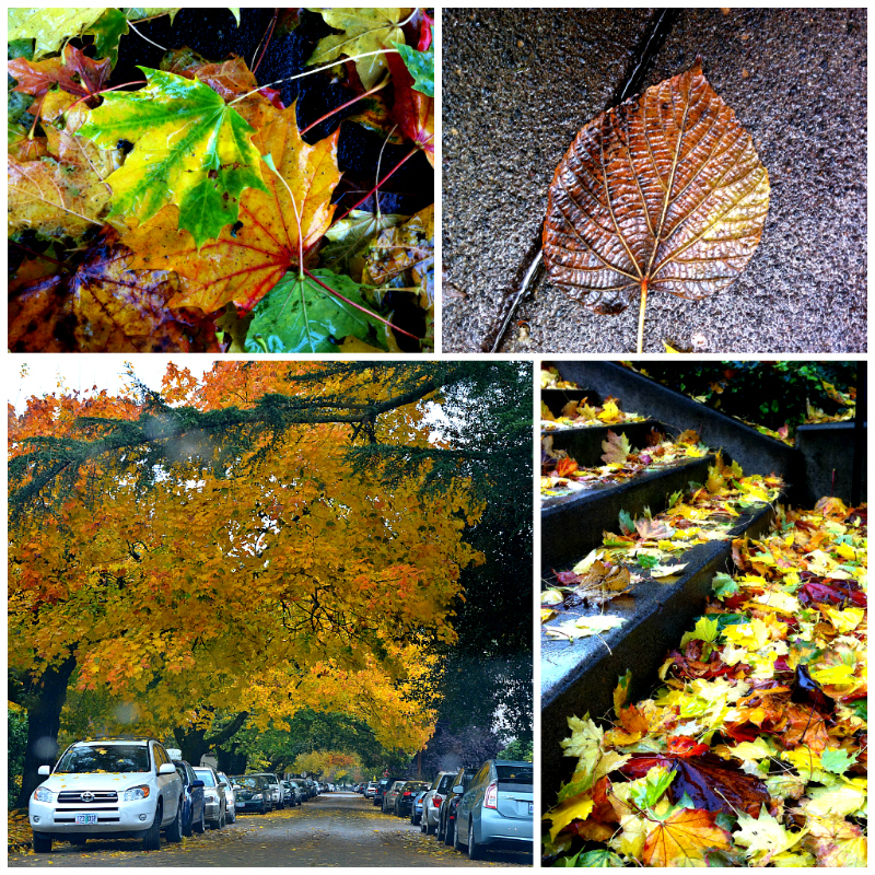 PicMonkey Collage_fall_leaves_2