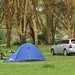 Our camp at Lake Baringo