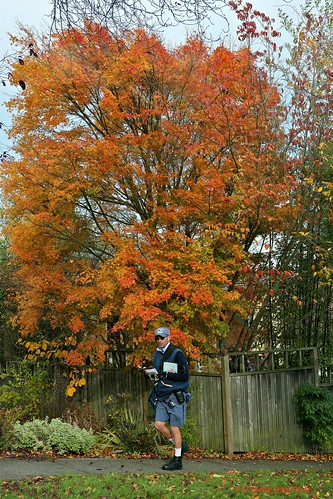 Postal Carrier in Autumn by Seattle Daily Photo