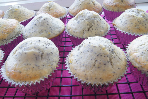 Lemon and Poppy Seed Muffins DSC07459