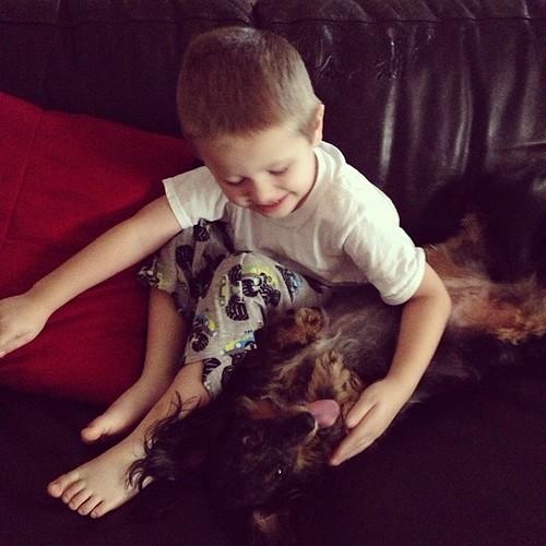 Maya & Zachary: BFFs :) #dogstagram #dachshund #igersftl