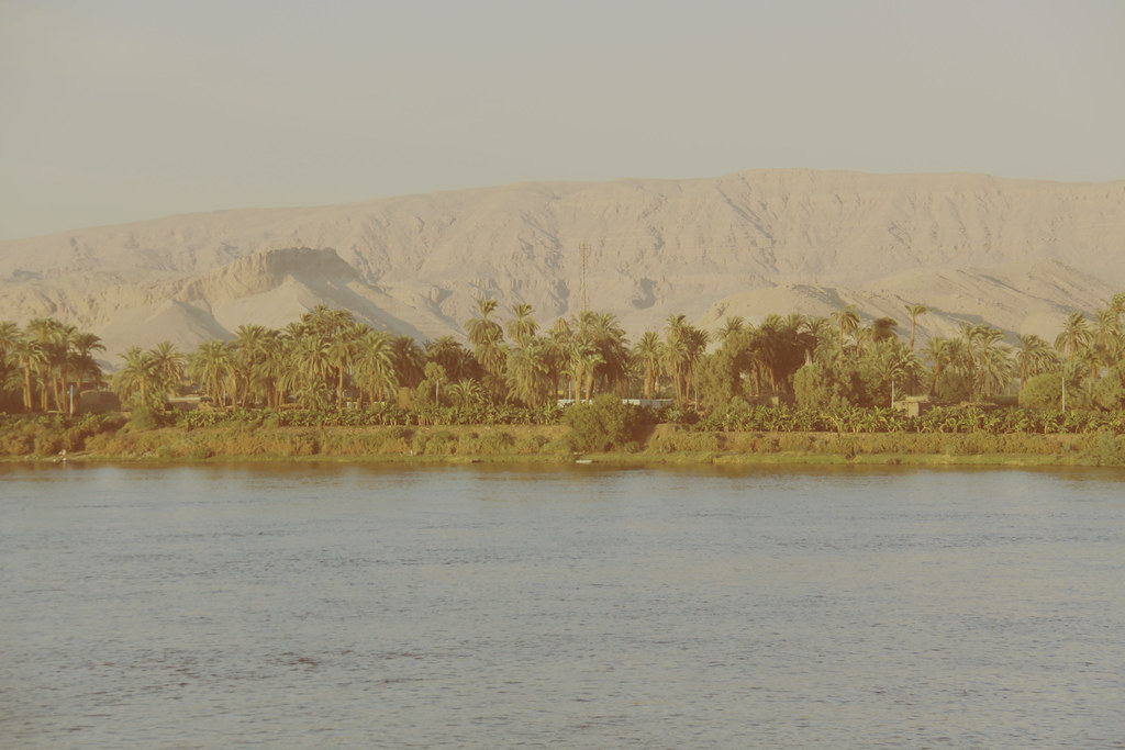 Gift of The Nile
