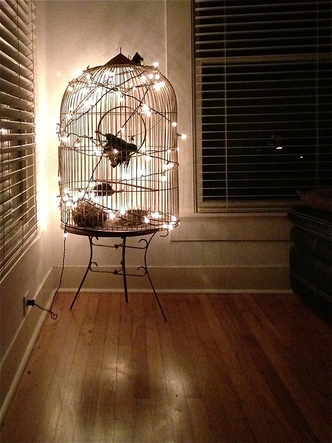 birdcage lit