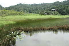 東元湖