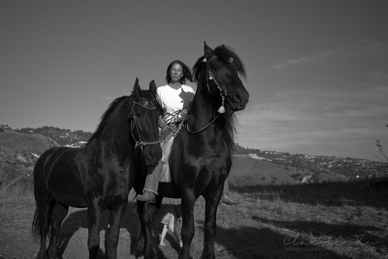 Gigi and Her Horses